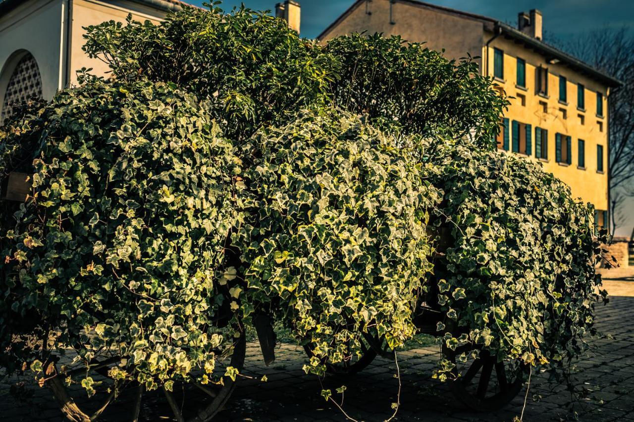 Le Vigne Morosina Villa Cessalto Bagian luar foto