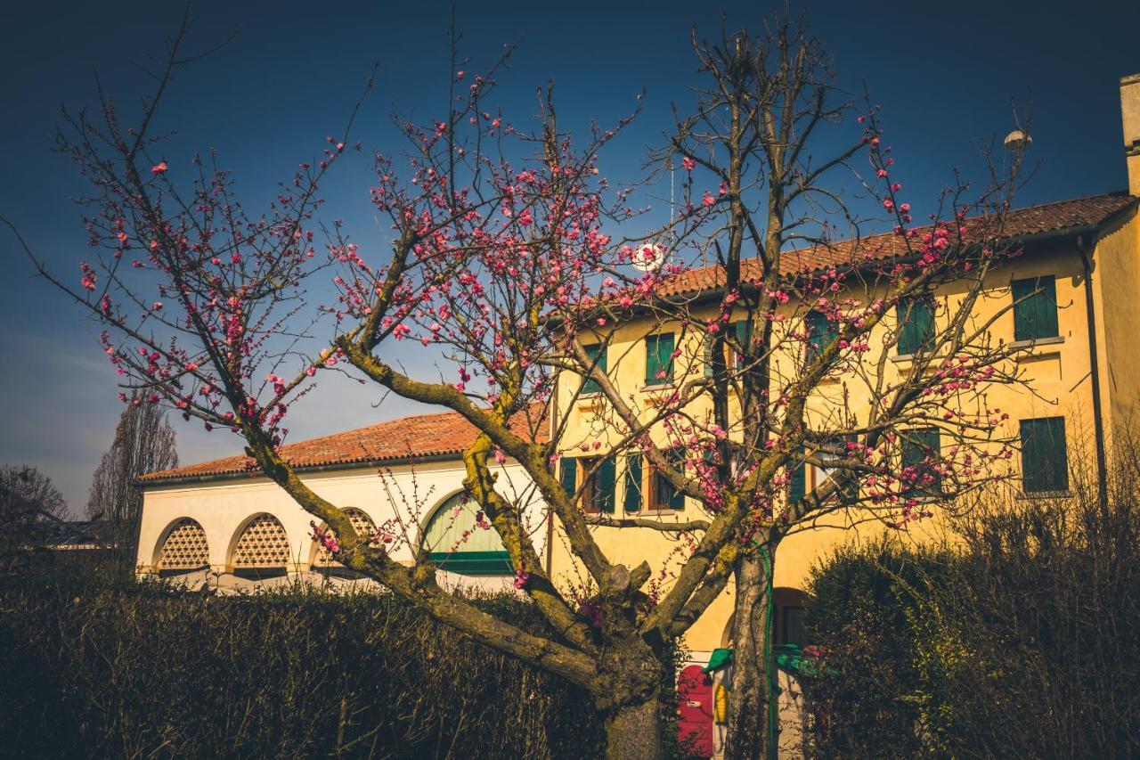Le Vigne Morosina Villa Cessalto Bagian luar foto